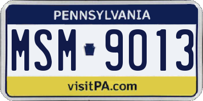 PA license plate MSM9013