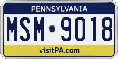 PA license plate MSM9018