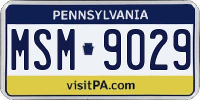 PA license plate MSM9029