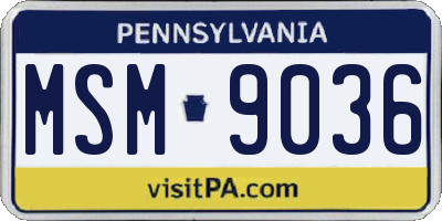 PA license plate MSM9036