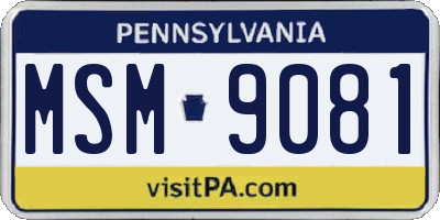 PA license plate MSM9081
