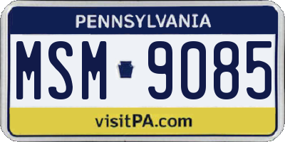PA license plate MSM9085