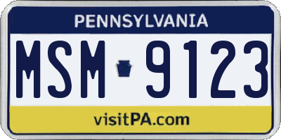 PA license plate MSM9123