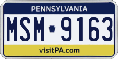 PA license plate MSM9163