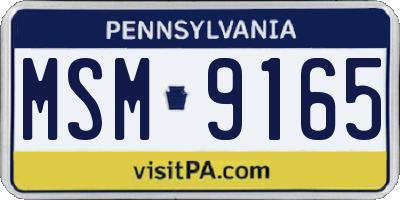 PA license plate MSM9165
