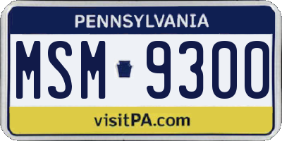 PA license plate MSM9300