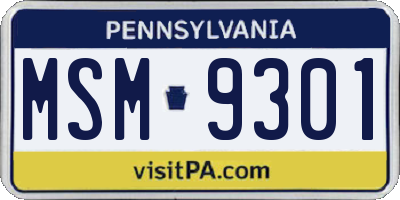 PA license plate MSM9301