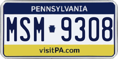 PA license plate MSM9308