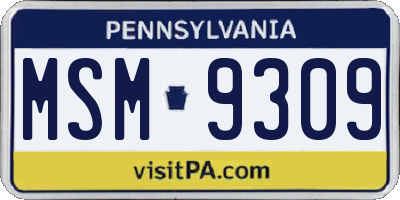 PA license plate MSM9309