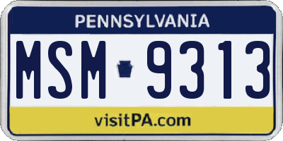 PA license plate MSM9313