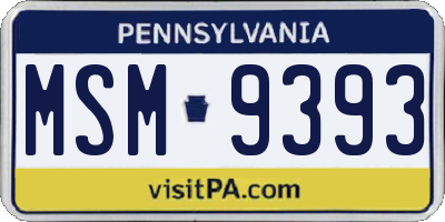 PA license plate MSM9393