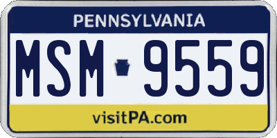 PA license plate MSM9559