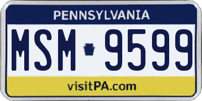 PA license plate MSM9599