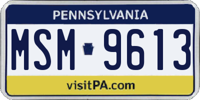 PA license plate MSM9613