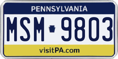 PA license plate MSM9803