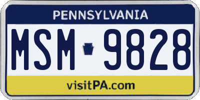PA license plate MSM9828