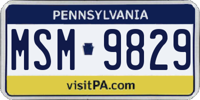 PA license plate MSM9829
