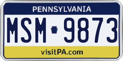 PA license plate MSM9873