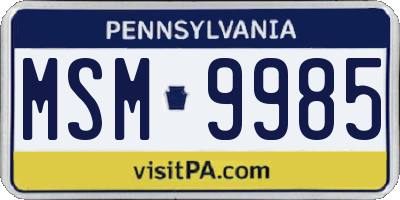 PA license plate MSM9985