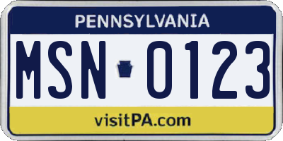 PA license plate MSN0123