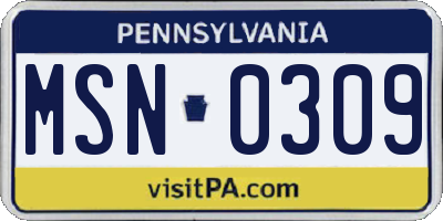 PA license plate MSN0309