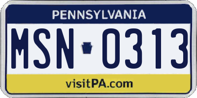 PA license plate MSN0313