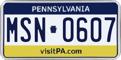 PA license plate MSN0607