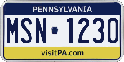 PA license plate MSN1230