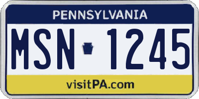 PA license plate MSN1245