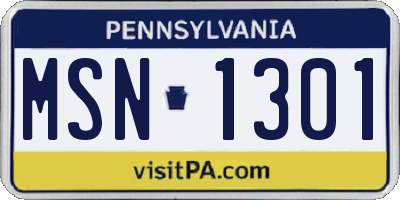 PA license plate MSN1301