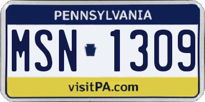 PA license plate MSN1309