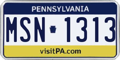 PA license plate MSN1313