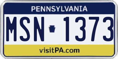 PA license plate MSN1373