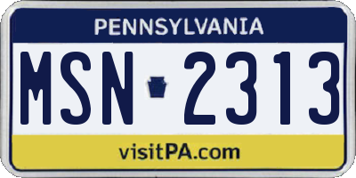 PA license plate MSN2313