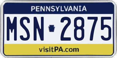 PA license plate MSN2875