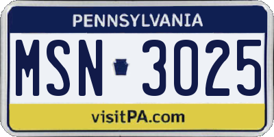 PA license plate MSN3025
