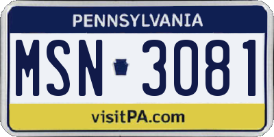 PA license plate MSN3081
