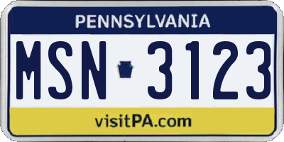 PA license plate MSN3123
