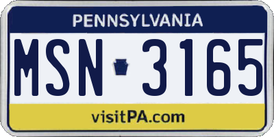 PA license plate MSN3165
