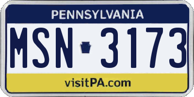 PA license plate MSN3173
