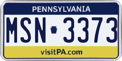 PA license plate MSN3373