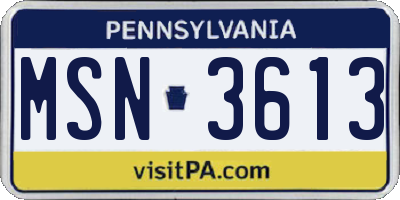 PA license plate MSN3613