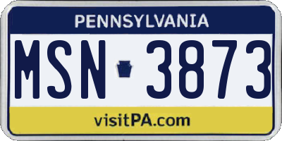 PA license plate MSN3873