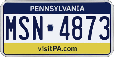 PA license plate MSN4873