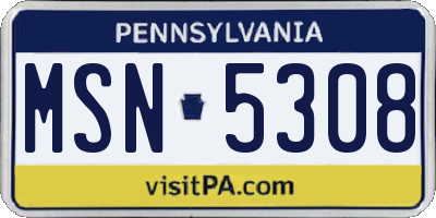 PA license plate MSN5308