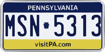 PA license plate MSN5313