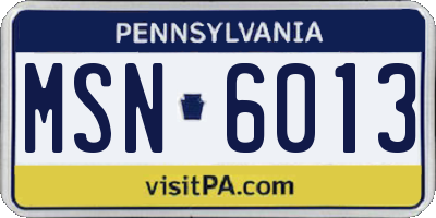 PA license plate MSN6013
