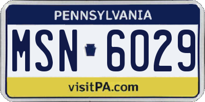 PA license plate MSN6029