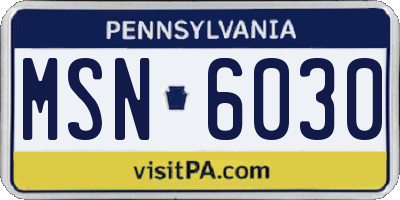 PA license plate MSN6030