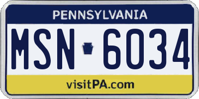 PA license plate MSN6034
